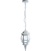 FERON 8105/PL8105
