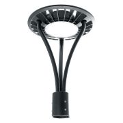 FERON SP7010