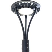 FERON SP7010