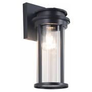 FERON PL781