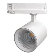 FERON TR Reflex